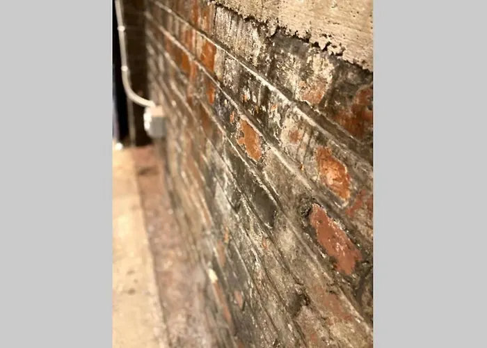 3e-cozy! Micro Minutes From Shadyside, Sleeps 1 *
